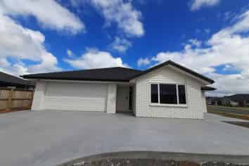 117 Wairau Drive, Tikipunga