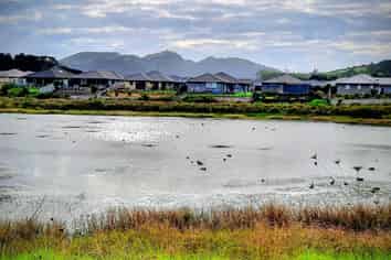 117 Wairau Drive, Tikipunga