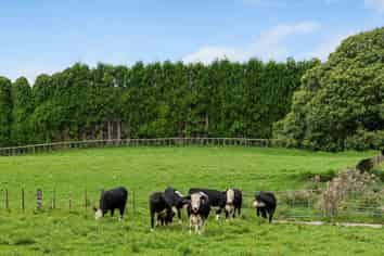 579 Belk Road, Omanawa