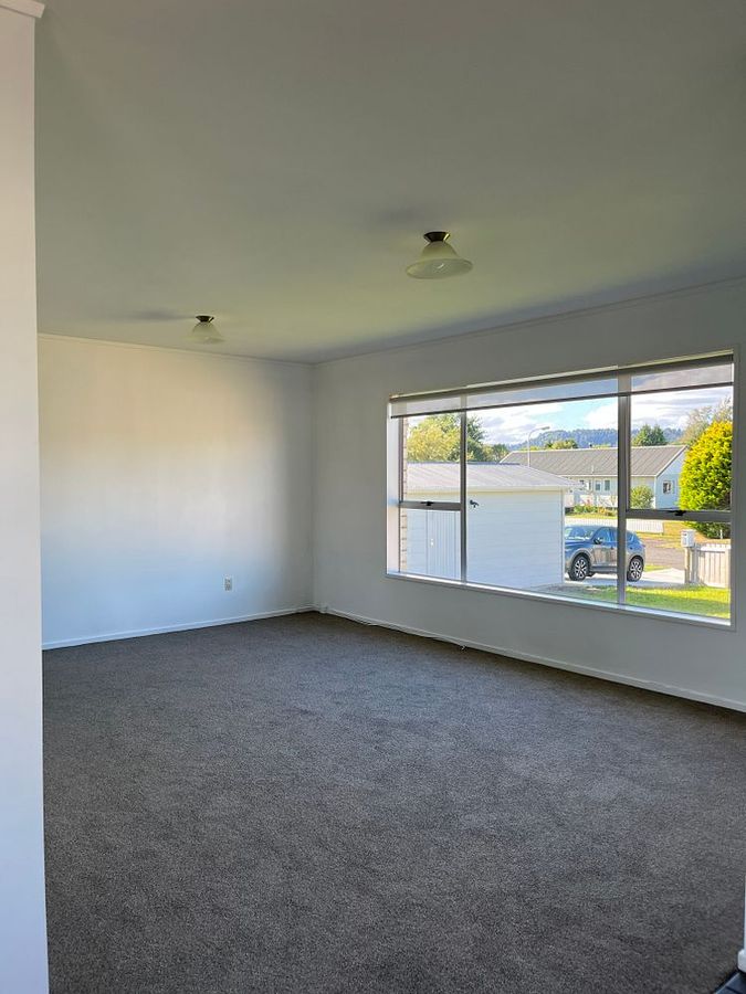 Central Ohakune 3 bedroom Home - Altro