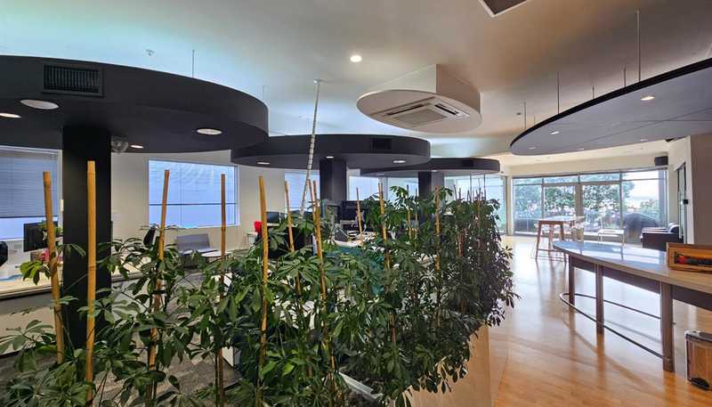  L1, 87 Hurstmere Road, Takapuna
