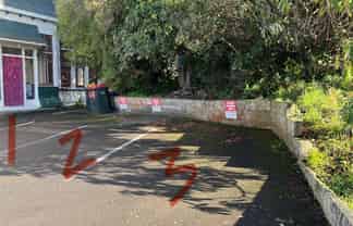 3 Union Street, North Dunedin