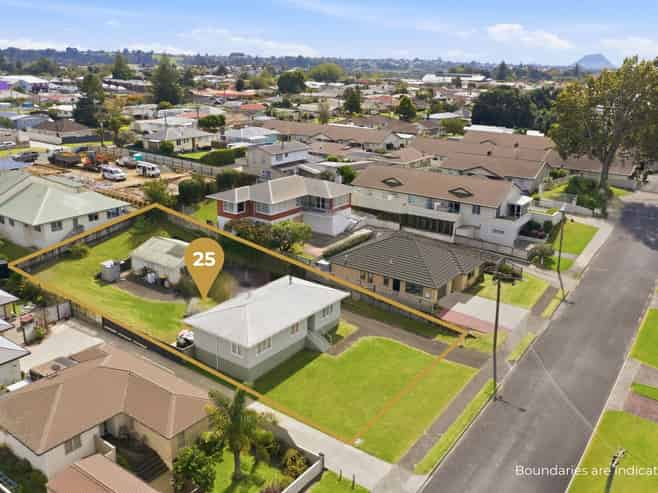 25 Mitchell Street, Greerton