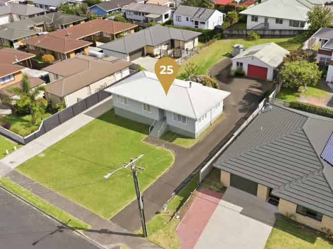 25 Mitchell Street, Greerton