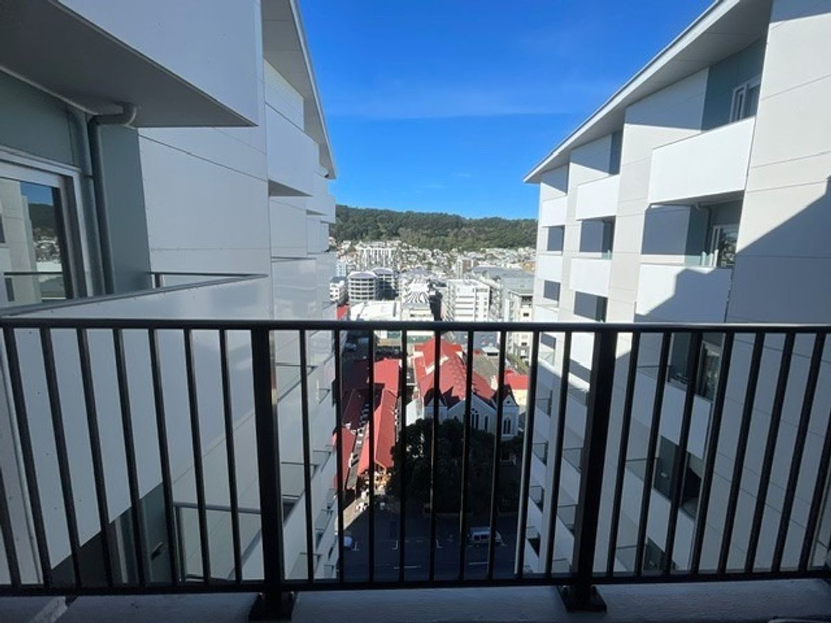 Apartment with a view, Te Aro