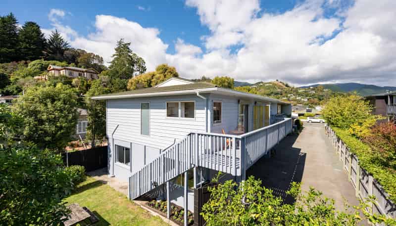 251D Bridge St, The Wood