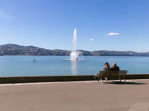 1B/236 Oriental Parade, Oriental Bay