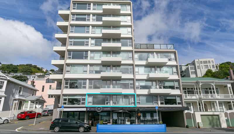 1B/236 Oriental Parade, Oriental Bay