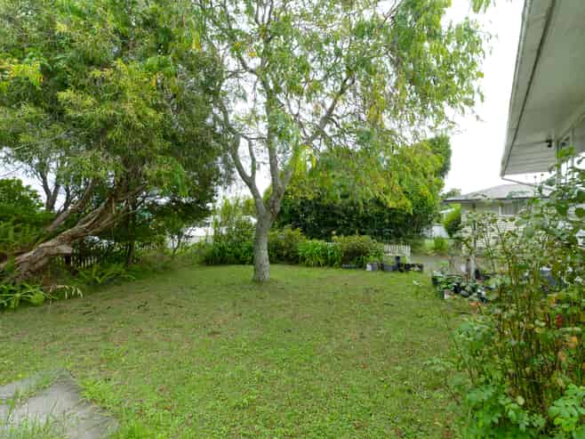 205 Halsey Drive, Lynfield