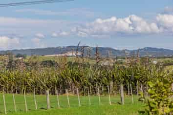 91 Somerville Road, Somerville