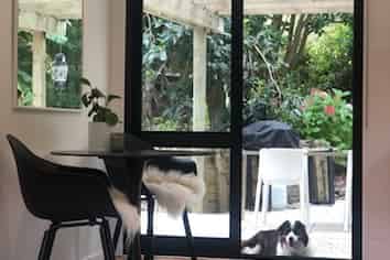 a/147 Omaha Valley Road , Matakana