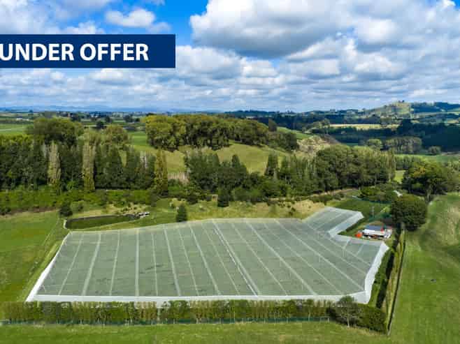 1151 Oreipunga Road, Maungatautari