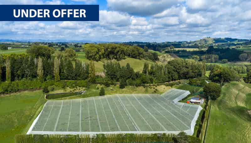 1151 Oreipunga Road, Maungatautari