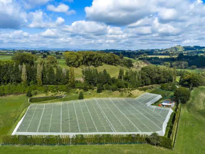 1151 Oreipunga Road, Maungatautari