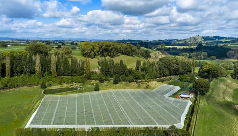 1151 Oreipunga Road, Maungatautari