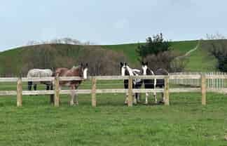 19 Black Road, Ashley Clinton