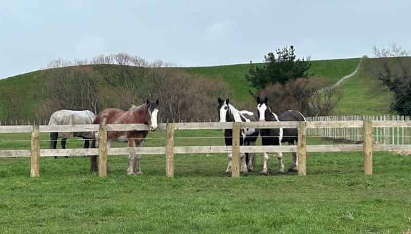 19 Black Road, Ashley Clinton