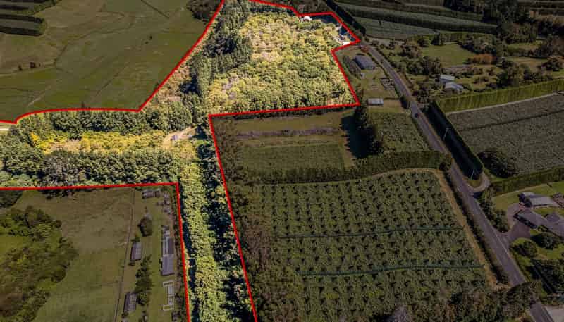 49 Lindemann Road, Katikati