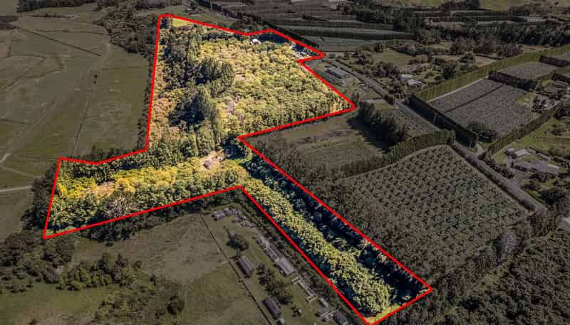 49 Lindemann Road, Katikati