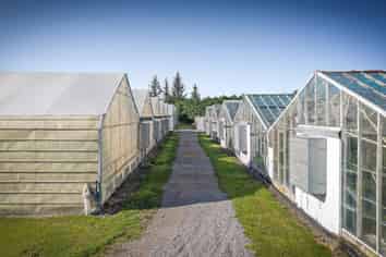 McBud Flowers – Business + Freehold & 4 Bed Home