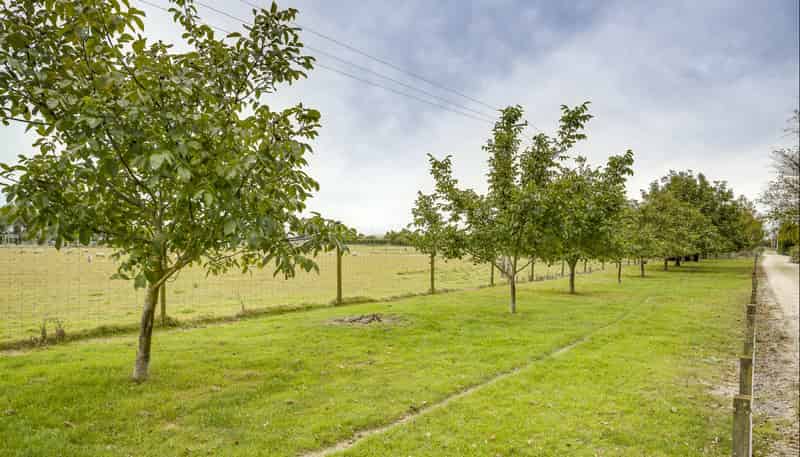  Lot 2, DP 327947, Miller Road, Havelock North