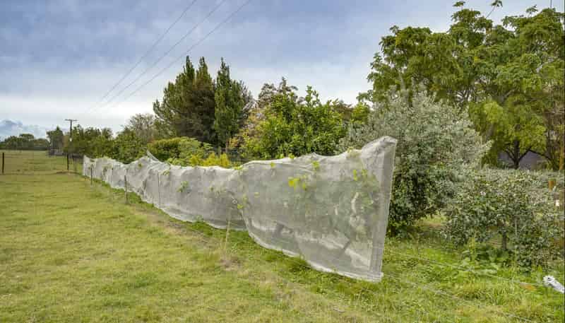  Lot 2, DP 327947, Miller Road, Havelock North