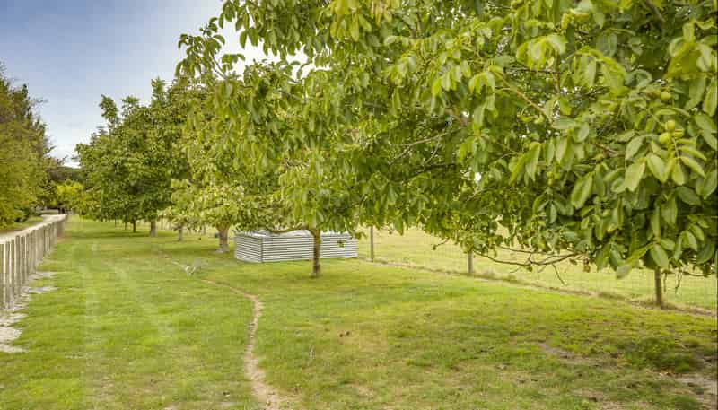 Lot 2, DP 327947, Miller Road, Havelock North