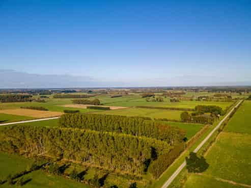 109 Marshalls Road, Springston