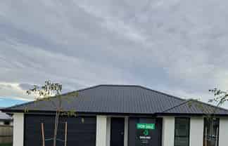 29 Armadale Street, MOSGIEL