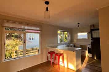 58 Totara Street, Lansdowne