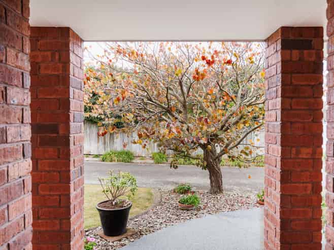 3 Craig Court, Feilding