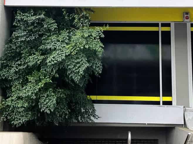 Hidden Retail Opportunity in Iconic Ponsonby