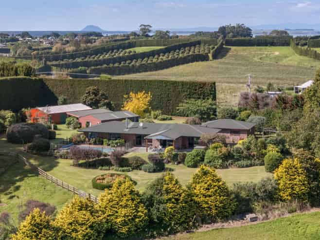 217 Ongare Point Road, Katikati