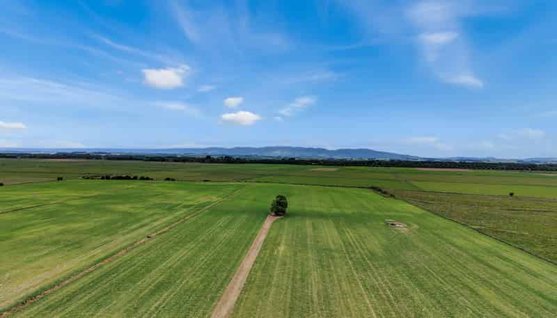 652 Makino Road, Feilding