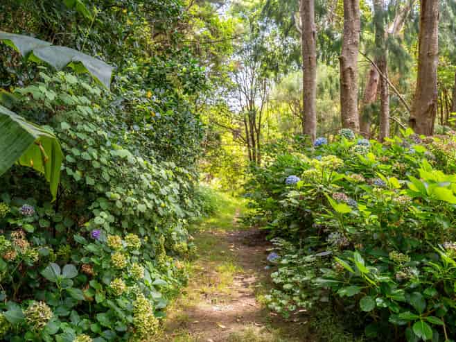 106 Pebblebrooke Road, Mangawhai