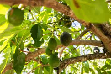 102 Trewavas Street, Motueka