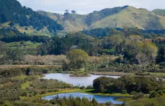 97 Koutunui Road, Athenree