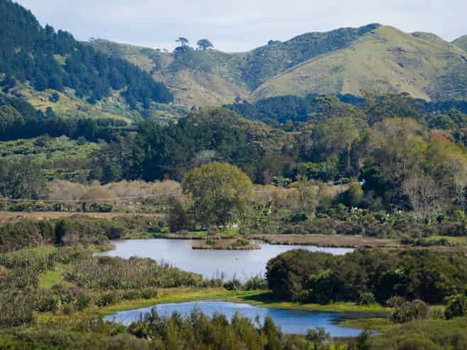 97 Koutunui Road, Athenree