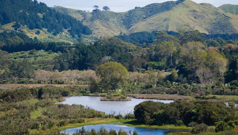 97 Koutunui Road, Athenree