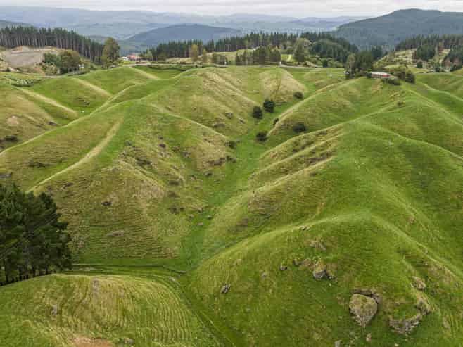 81 Kaiwaka Road, Tangoio