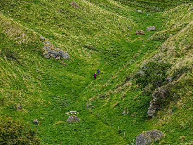81 Kaiwaka Road, Tangoio