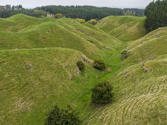 81 Kaiwaka Road, Tangoio