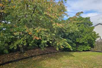 126 South Belt, Masterton