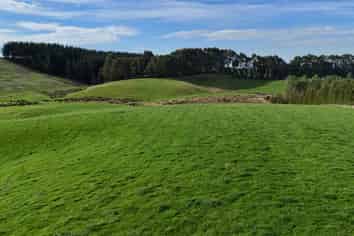  Glendhu Road, Mataura