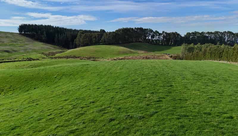  Glendhu Road, Mataura