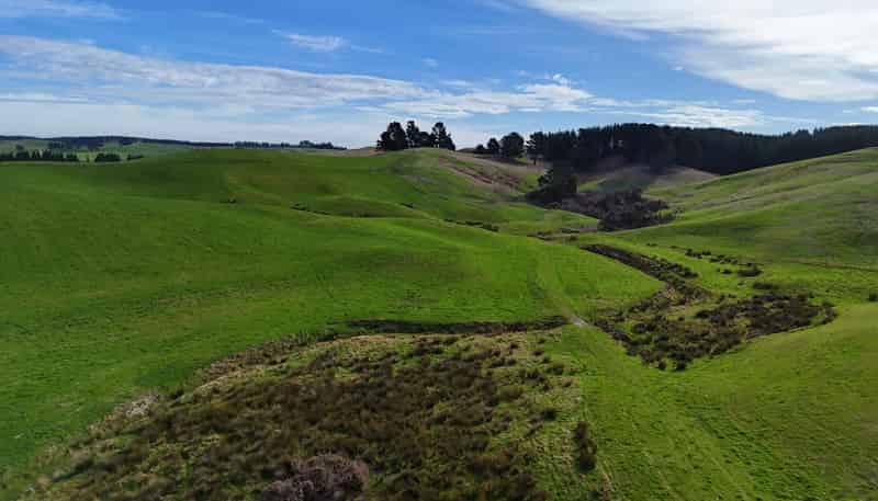  Glendhu Road, Mataura