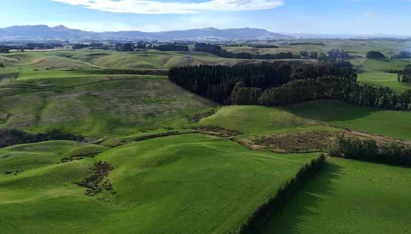  Glendhu Road, Mataura