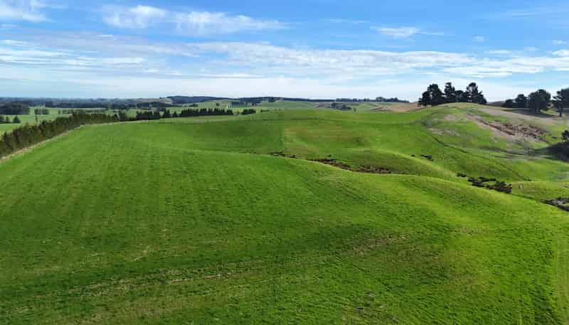  Glendhu Road, Mataura