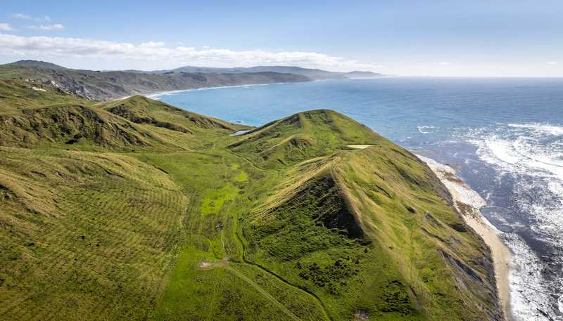  Paoanui, Pourerere