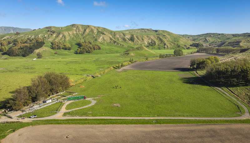  Paoanui, Pourerere